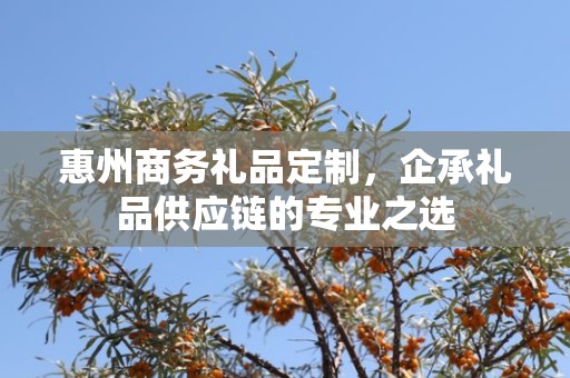 惠州商务礼品定制，企承礼品供应链商务礼品定制公司